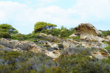 Yunan sahil yamaçlarının ve yeşilliklerin manzarası