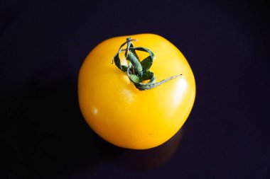 Siyah arka plandaki bir çiftlikten sarı bir domates organik sağlıklı sebze, makro fotoğraf.