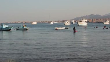 Mısır'daki yerel Beach.