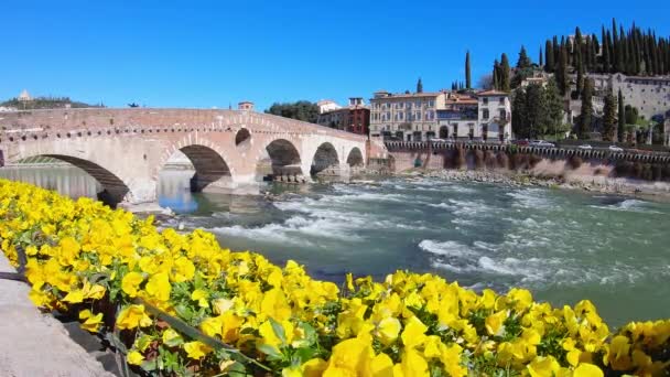 Ponte Pietra Stone híd az Adige folyón Verona, Olaszország. — Stock videók