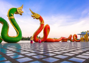 Nagas, Kral özelleştirmek renkler hayal gücünün ötesinde