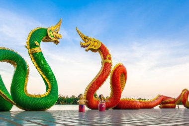 Nagas, Kral özelleştirmek renkler hayal gücünün ötesinde