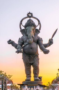 Büyük pembe Pikanet / Ganesh