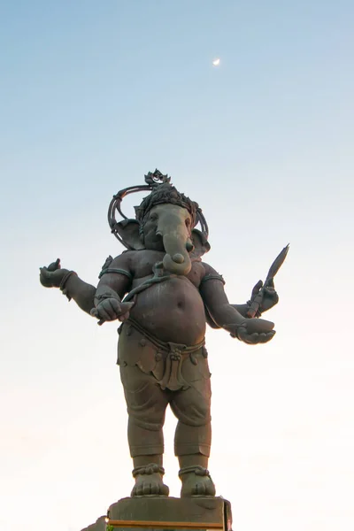 Büyük pembe Pikanet / Ganesh