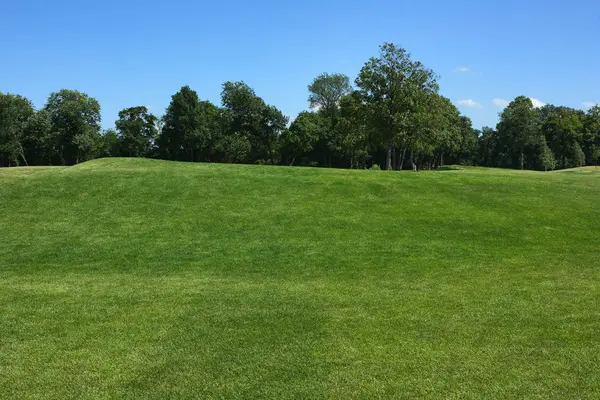 Çim. Golf sahası.