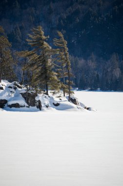 Karlı donmuş gölün Algonquin park, Ontario beyaz çam arka plan ile. Karlı dağın arkasında. Kopya alanı içinde taze parlak kar altındaki.