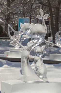 2 rakunlar buz heykel, Winterlude, Ottawa, 8 Şubat 2017