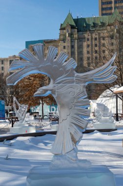 Karga buz heykeli, Winterlude, Ottawa, 8 Şubat 2017 kartal.