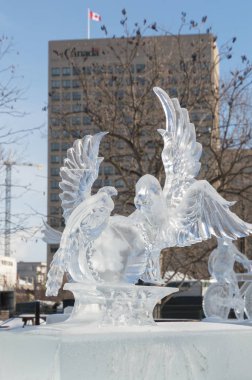 Kuğu buz heykel oyma, Winterlude, Ottawa, 8 Şubat 2017
