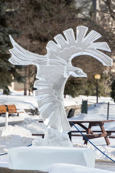 Escultura de gelo de águia-corvo em Winterlude, Ottawa, 8 de fevereiro de 2017 — Fotografia de Stock