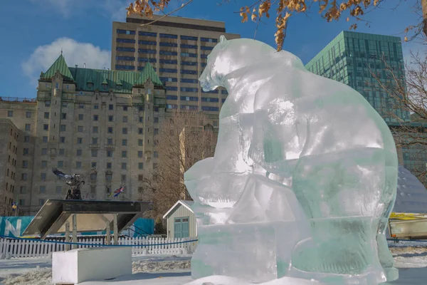 Escultura de hielo de oso polar tallada en Winterlude, Ottawa, Feb 8, 2017 — Foto de Stock