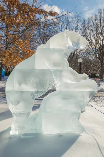 Escultura de hielo de oso polar tallada en Winterlude, Ottawa, Feb 8, 2017 — Foto de Stock