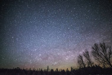 Kırsal kış manzara ağaçlar ve yıldız ile gece