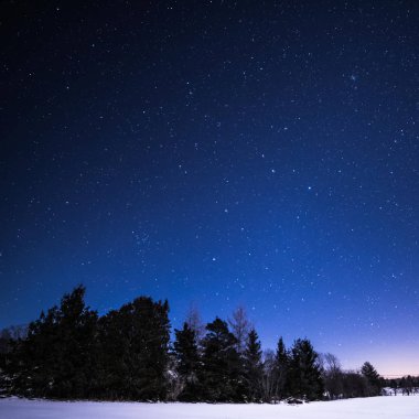 Ağaçlar ve yıldız asnd kar ile gece kırsal manzara