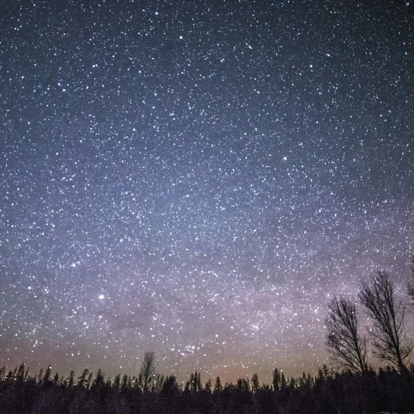 Paisagem Rural de Inverno à noite com árvores e estrelas — Fotografia de Stock