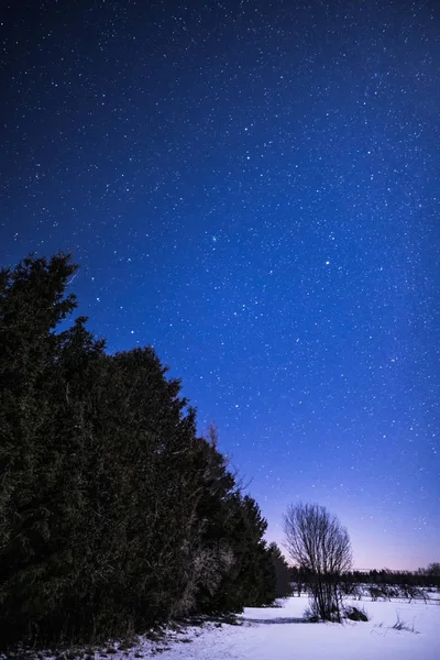 Paysage rural d'hiver la nuit avec arbres et étoiles — Photo