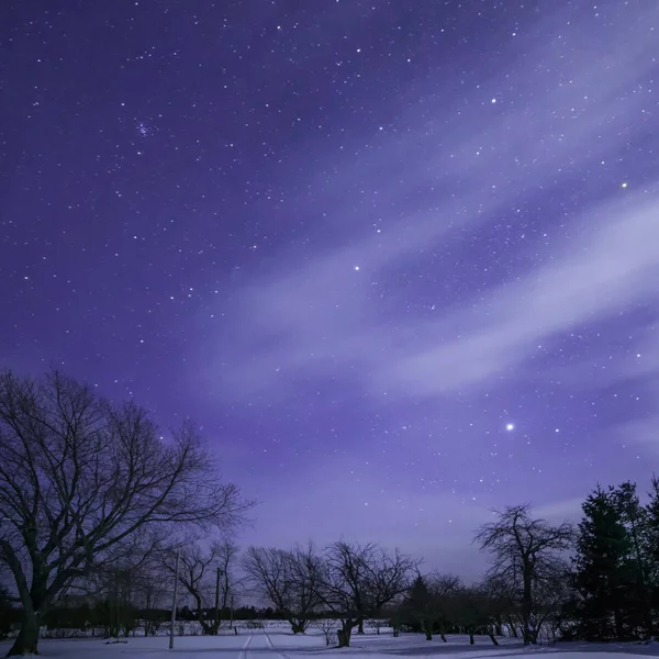 Estrellas a la luz de la luna, árboles y pista con nubes — Foto de Stock