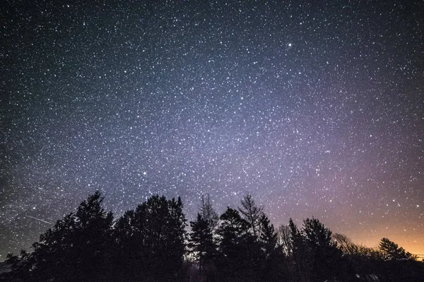 Paysage rural d'hiver la nuit avec arbres et étoiles — Photo