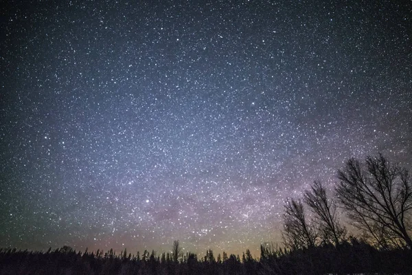 Paysage rural d'hiver la nuit avec arbres et étoiles — Photo