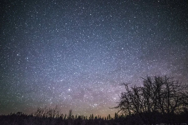 Landelijke winterlandschap met bomen en de sterren 's nachts — Stockfoto