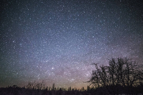 Rural Winter Landscape at night with trees and stars