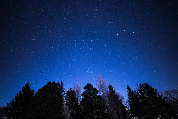 Paisaje rural de invierno por la noche con árboles y estrellas — Foto de Stock