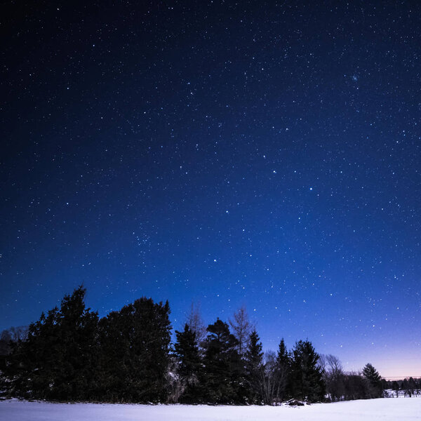 Rural Landscape at night with trees and stars asnd snow
