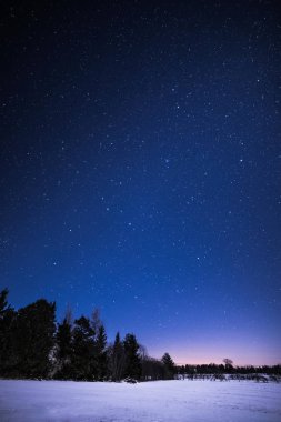 Kırsal kış manzara ağaçlar ve yıldız ile gece