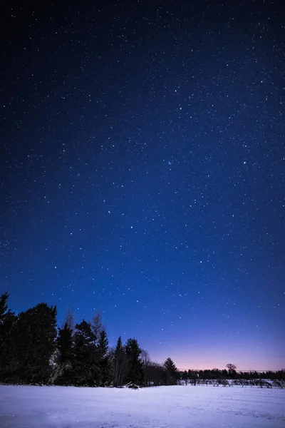 Paisaje rural de invierno por la noche con árboles y estrellas — Foto de Stock