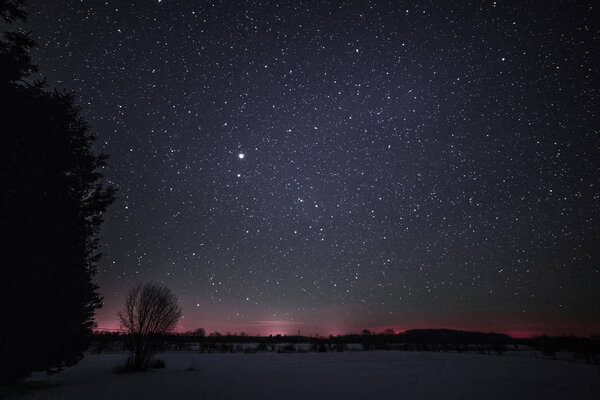 Сельский зимний пейзаж ночью с деревьями и звездами
