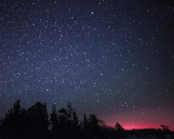 Paysage Rural Hiver Nuit Avec Arbres Étoiles — Photo