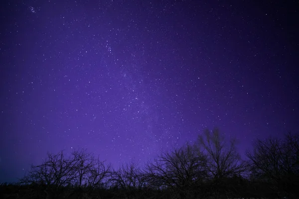 木と星の夜に田舎の冬の風景 — ストック写真