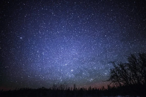 在晚上与树和星星的农村冬季景观。 — 图库照片