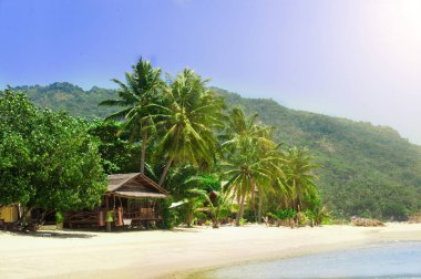 Tropikal beach Koh Samui, Tayland