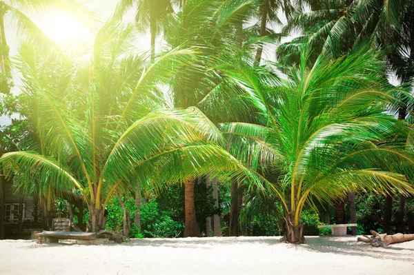 Playa tropical en koh Phangan, Tailandia —  Fotos de Stock