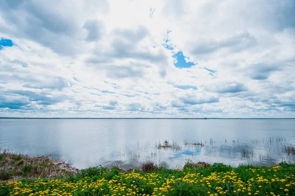 ทะเลสาบในหมู่บ้าน มุมมองจากสนามที่มีดอกแดนดิไลอันสีเหลือง — ภาพถ่ายสต็อก