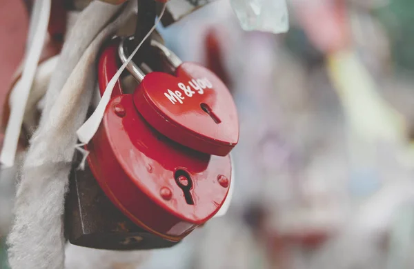 Sembol asma kilitler köprüde zincirlenmiş aşk evliliği