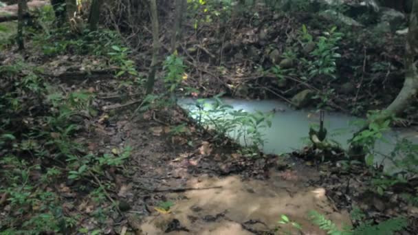 Petite cascade et forêt tropicale naturelle en Thaïlande .