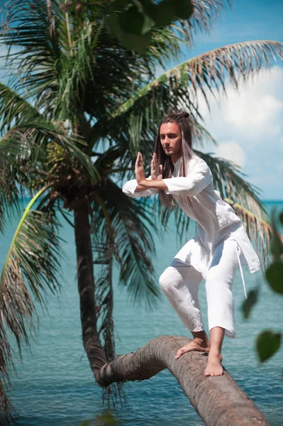 Bonito homem está praticando qigong em uma palmeira — Fotografia de Stock