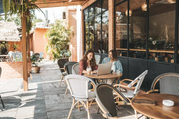 Two Women Discussing Business Projects Cafe While Having Coffee Startup — Stock Photo, Image