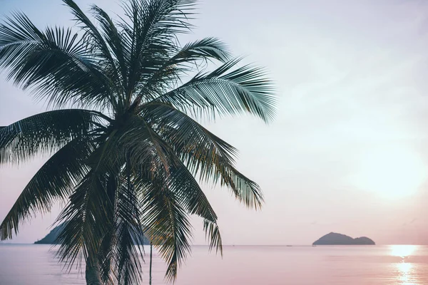 Fondo Playa Tropical Atardecer Con Palmera Coco —  Fotos de Stock