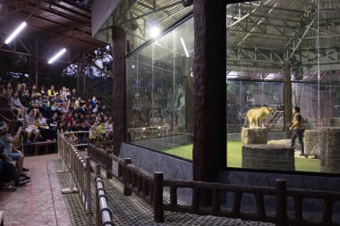 Chiang Mai gece safarisi 