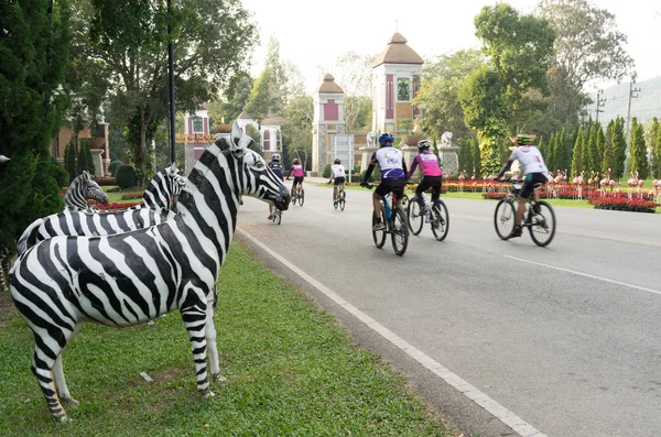 Chiang mai noite safari — Fotografia de Stock