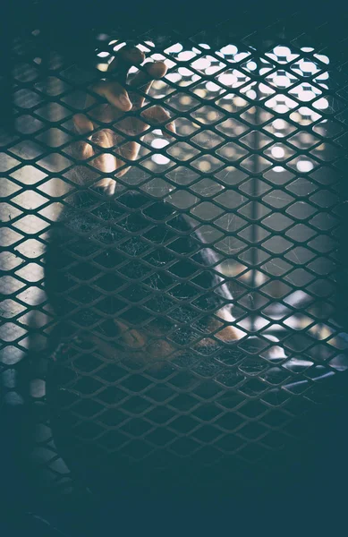 Homme désespéré dans la cage — Photo