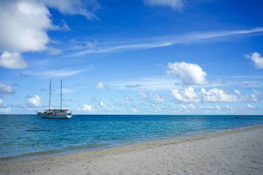 Güzel tropikal plaj