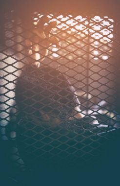 insan ticareti, ip ile birlikte bağlı beslemeleri