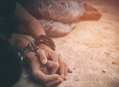 insan ticareti, ip ile birlikte bağlı beslemeleri