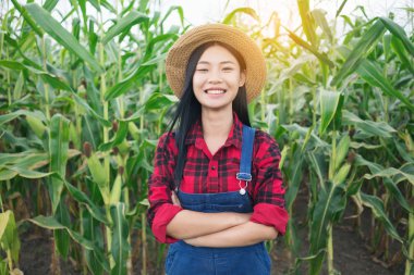 Mısır alanında mutlu çiftçi