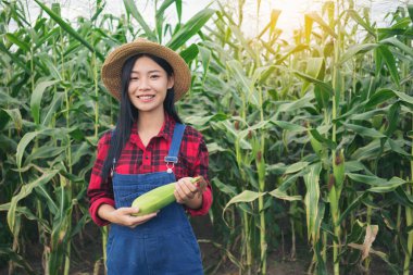 Mısır alanında mutlu çiftçi