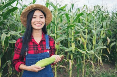 Mısır alanında mutlu çiftçi